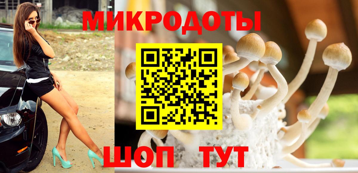 Псилоцибиновые грибы GOLDEN TEACHER  Вход с VPN  Златоуст 